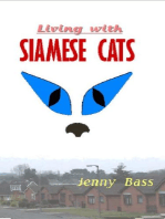 Living With Siamese Cats