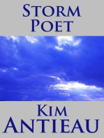 Storm Poet