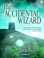 The Accidental Wizard