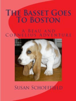 The Basset Goes To Boston