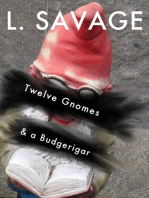 Twelve Gnomes and a Budgerigar