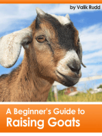 A Beginner's Guide To Raising Goats