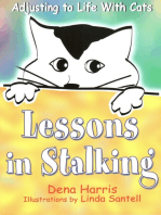 Lessons In Stalking: Adjusting to Life With Cats