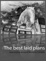 The best laid plans