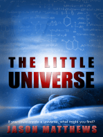 The Little Universe