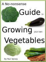 A No-nonsense Guide to Growing your own Vegetables