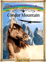Condor Mountain
