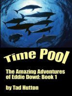 Time Pool