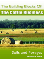 The Building Blocks of the Cattle Business