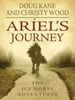 Ariel's Journey