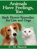 Animals Have Feelings, Too: Bach Flower Remedies for Cats and Dogs