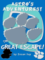 The Great Escape: Astro's Adventures