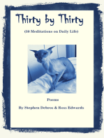 Thirty by Thirty (30 Meditations on Daily Life)