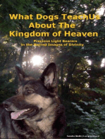 What Dogs Teach Us About The Kingdom Of Heaven