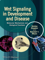 Wnt Signaling in Development and Disease: Molecular Mechanisms and Biological Functions