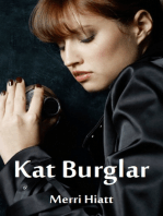 Kat Burglar