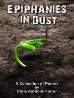 Epiphanies in Dust