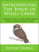 Introducing the Birds of Wolli Creek
