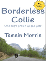 Borderless Collie