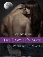 The Lawyer's Mate