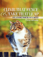 Climb that Fence and Take that Leap