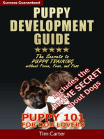 Puppy Development Guide: Puppy 101: The Secrets to Puppy Training Without Force, Fear, and Fuss!