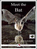 Meet the Bat: Educational Version