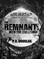 The Remnant: Into the Collision