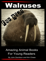 Walruses: For Kids - Amazing Animal Books for Young Readers