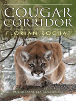 Cougar Corridor