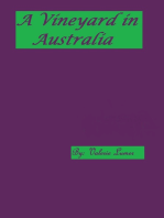 A Vineyard in Australia