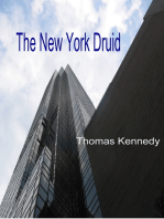 The New York Druid