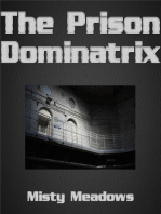 The Prison Dominatrix (Femdom)