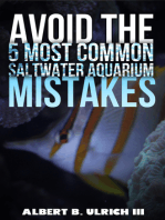 Avoid the 5 Most Common Saltwater Aquarium Mistakes