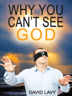 Why You Can't See God