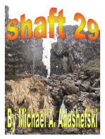 Shaft 29