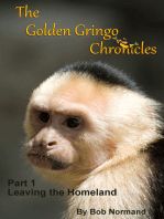 The Golden Gringo Chronicles