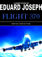 Flight 370