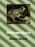 Metamorfoza