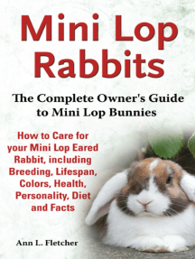 mini lop habitat