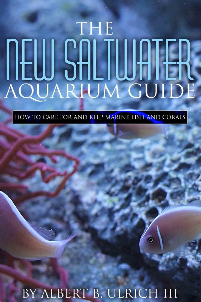 Read The New Saltwater Aquarium Guide How to Care for and Keep Marine Fish and Corals Online by