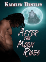 After the Moon Rises