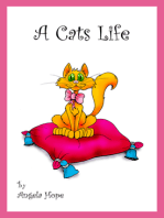 A Cats Life