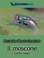 Il moscone (Lucilia Caesar)