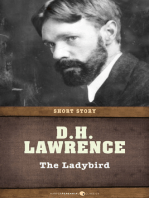 The Ladybird: Short Story