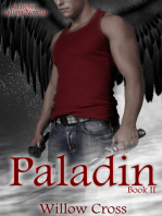 Paladin (A Higher Calling Novella)