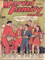Fawcett Comics: Marvel Family 02