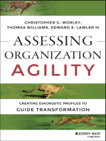 Assessing Organization Agility: Creating Diagnostic Profiles to Guide Transformation