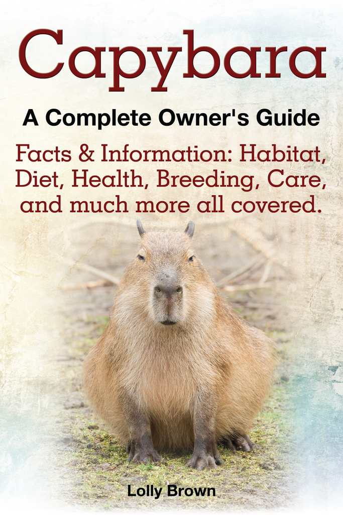 A Beginners Guide: Finding a Capybara