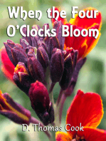 When The Four O'clocks Bloom